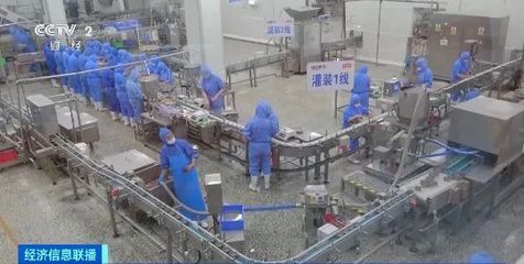 寵物食品出口火熱 4個月突破30億元，創歷史新高