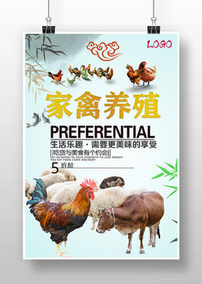 家禽養殖 開啟綠色健康致富之路